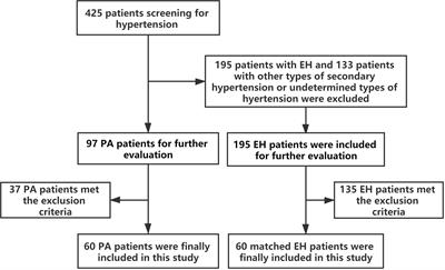 Risk Factors Associated With Lower Bone Mineral Density in Primary Aldosteronism Patients